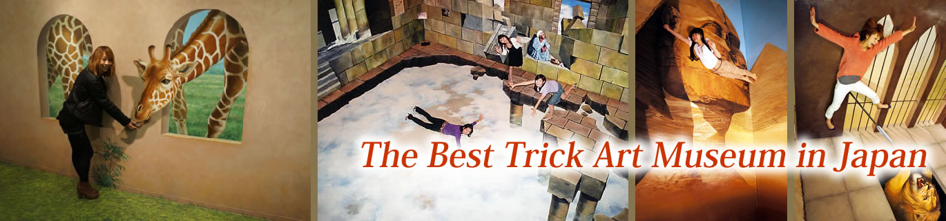 The Best Trick Art Museum in Japan